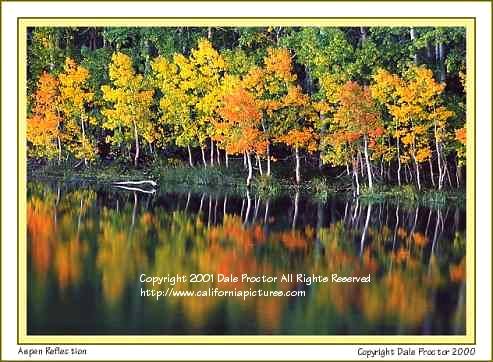 June lakes fall color reflection autumn canyon national forest picture Mono Basin