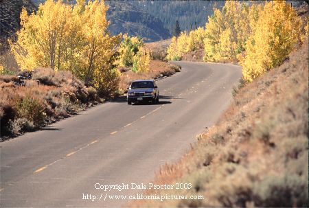 Eastern Sierra, Bishop Creek Canyon, fall road