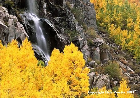 Mountain waterfall water cascade flows over cliff behind aspen trees in fall colors