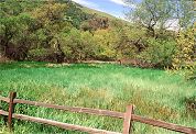 fence, green spring grass field landscape California pictures Los Padres National Forest