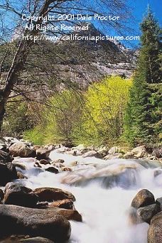 Bubbs Creek granite rocks water flows to Kings River, pine trees forest