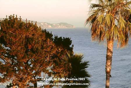 California coast, Pacific Ocean, Malibu Beach coastline view through palm trees, Southern California beaches