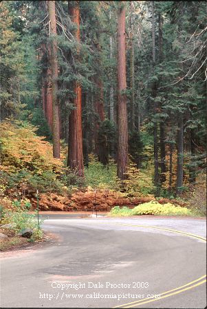 California National Parks, scenic highway drive edge in fall color