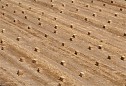 hay field scenic photographs California patterns