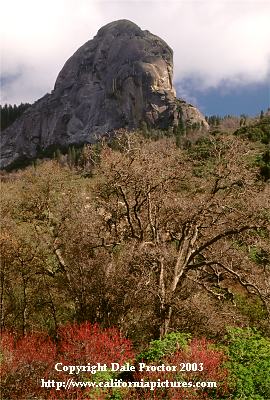 Moro Rock, Sequoia National Park black oaks, redbud trees