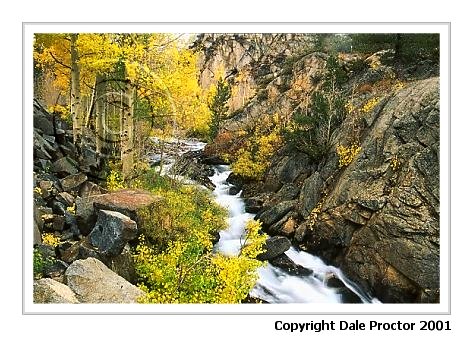 Rock, Aspen trees, creek, photo workshop trip, Sierra Nevada Mountains, California scenic print