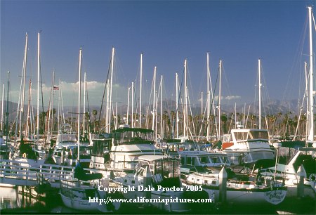 sail boats tall white masts in slips, docks, Ventura Harbor